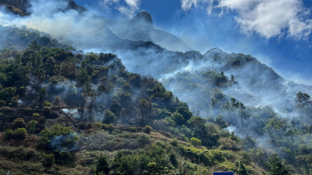 PJ está a investigar a causa do incêndio na Serra de Água