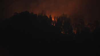 Bombeiros temem que fogo desça encosta e coloque em causa moradias no Curral (vídeo)