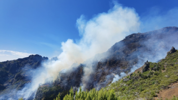 Imagem de Chamas controladas no Pico Ruivo (vídeo)