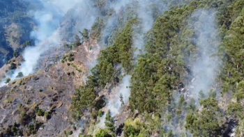 Primeiras audições em Lisboa sobre incêndios da Madeira começam hoje