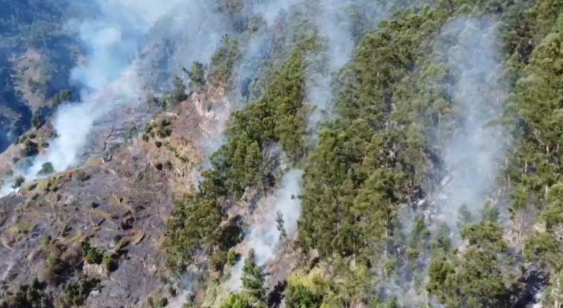 Primeiras audições em Lisboa sobre incêndios da Madeira começam hoje