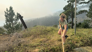 Imagem de Moradores limpam terrenos na Lombada (vídeo)