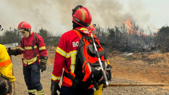 76 elementos da força conjunta de combate continuam no terreno (áudio)