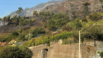 Tranquilidade regressa à Serra de Água (vídeo)