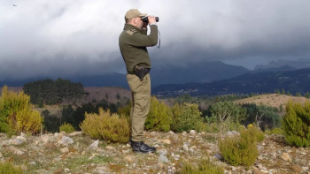 Polícia Florestal identifica autor de queimada ilegal na Calheta