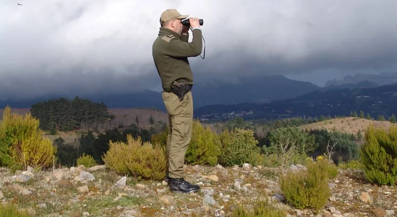 Polícia Florestal identifica autor de queimada ilegal na Calheta