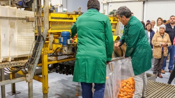 Agricultores queixam-se de serem explorados (vídeo)