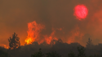 Número de fogos e área ardida registam este ano o valor mais reduzido da década