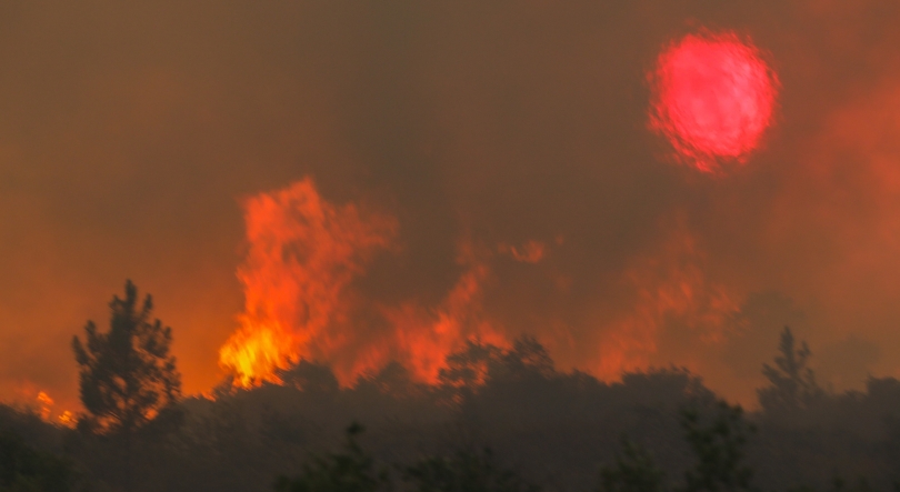 Número de fogos e área ardida registam este ano o valor mais reduzido da década