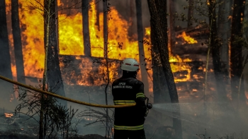 Imagem de Incêndios: Proteção Civil contabiliza cinco mortos e 17 feridos graves