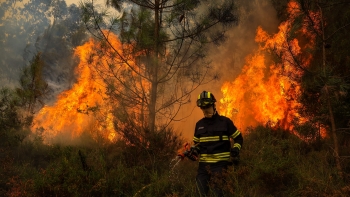 Fogo em Albergaria-a-Velha em resolução