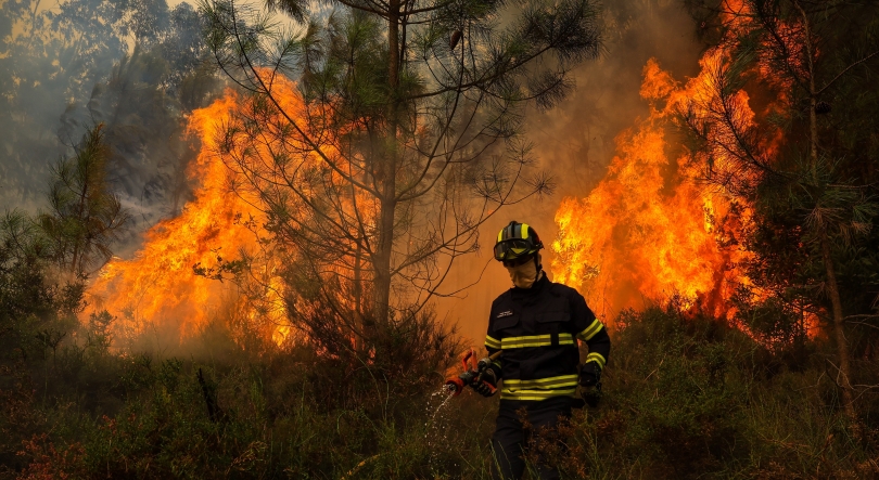 Fogo em Albergaria-a-Velha em resolução