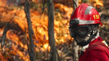 Incêndios: Proteção Civil diz que fogos de Castro Daire, Arouca e São Pedro do Sul estão dominados