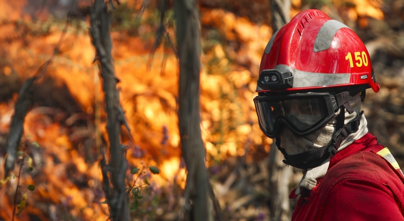 Incêndios: Proteção Civil diz que fogos de Castro Daire, Arouca e São Pedro do Sul estão dominados