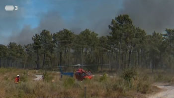 Nove meios aéreos e 130 operacionais combatem fogo no concelho do Seixal