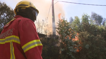 Polícia florestal já registou 36 fogos na floresta (vídeo)