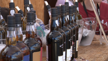 Região prepara candidatura do Vinho Madeira à UNESCO (vídeo)