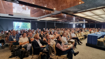 Falta maior conhecimento entre os madeirenses sobre a Laurissilva e a necessidade de preservação (áudio)