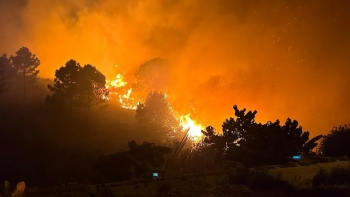 Imagem de Incêndios na Madeira “podiam ter sido evitados” (áudio)