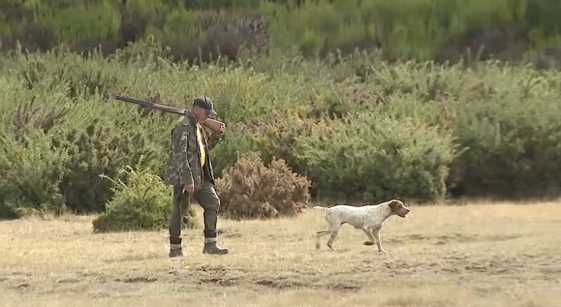 Polícia Florestal já recolheu sete cães de caça perdidos na serra