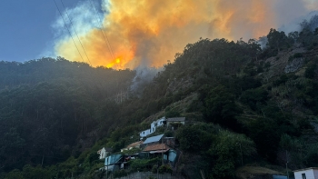 Meio aéreo e Bombeiros Mistos da Ribeira Brava e Ponta do Sol combatem as chamas (vídeo)