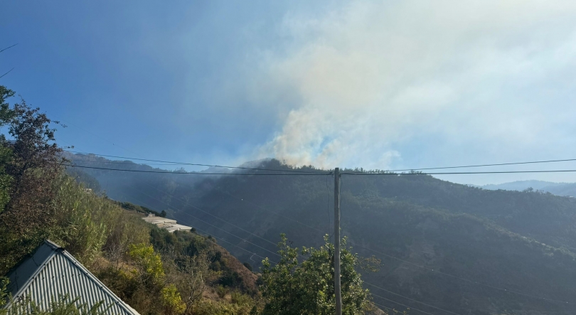 Chamas descem a encosta numa zona de difícil acesso (áudio)