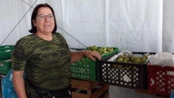 Festa da Maçã na Camacha durante o fim de semana (áudio)