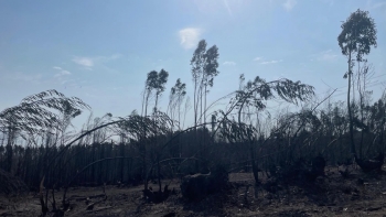 Mau tempo provoca danos em nove casas em Albergaria-a-Velha