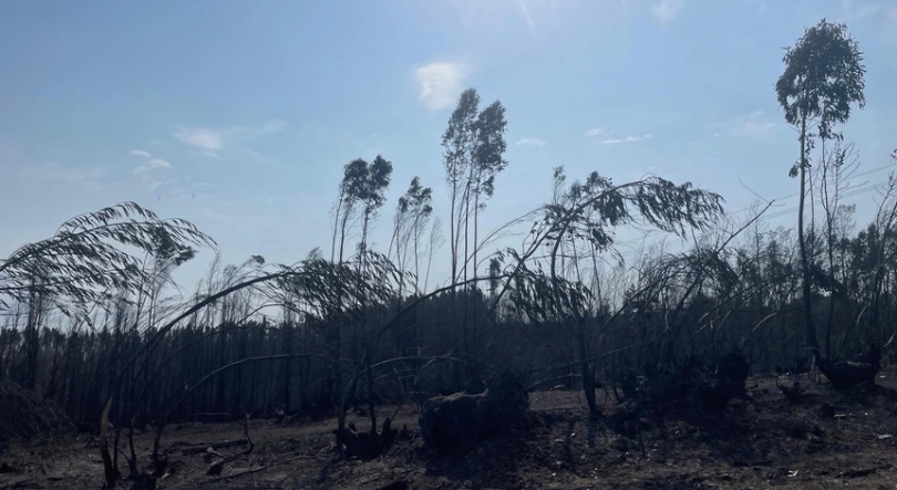 Mau tempo provoca danos em nove casas em Albergaria-a-Velha