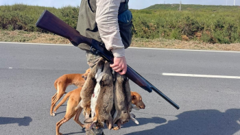 Começa hoje a época de caça (áudio)