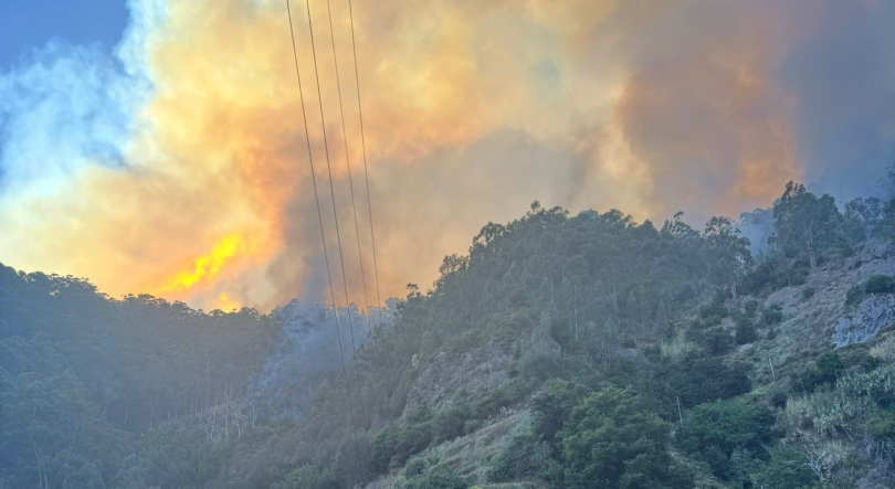 Reforços a caminho da Furna para evitar que fogo chegue à Tabua