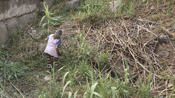 Moradores denunciam falta de limpeza nas ribeiras do Curral das Freiras (vídeo)