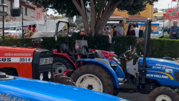 Festival Agrícola e Repentista da Madeira em Santana (vídeo)