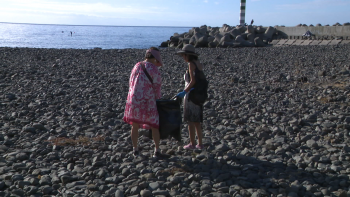 Ação de limpeza na praia do Almirante Reis (vídeo)