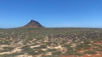 Plantas endémicas em risco de extinção na natureza (áudio)