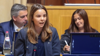 Imagem de PAN vai dar entrada na ALRAM de um Plano de Proteção Animal (áudio)