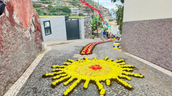 Tapetes de flores adornam Festa do Rosário no Jardim do Mar (vídeo)