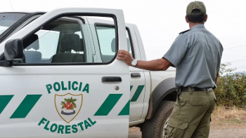 60 lugares disponíveis para sapadores florestais e policia florestal (áudio)