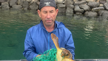 Imagem de Pescador do Caniçal tem-se dedicado à recolha de lixo marinho (áudio)