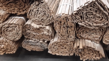 Material de madeira e bambu contaminado com insetos (vídeo)