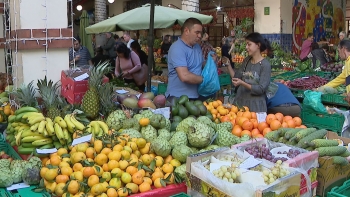 Legumes, frutas e flores com muita procura (vídeo)