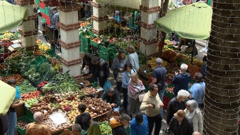 Imagem de Compras no Mercado dos Lavradores são indispensáveis (vídeo)