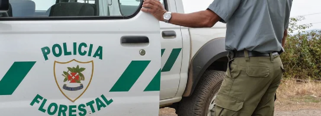 Imagem de Polícia Florestal identificou 10 pessoas a circular em percursos encerrados