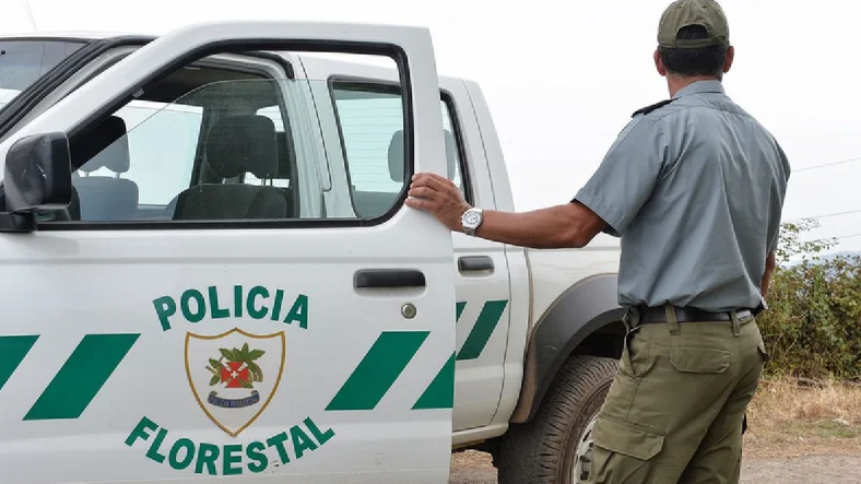 Polícia Florestal identificou empresa que estava a extrair pedra no Paul do Mar