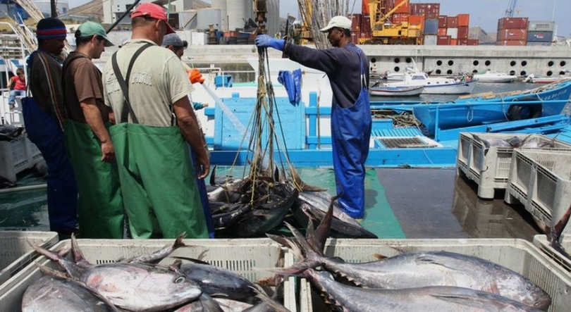 Pescadores recebem apoios dos sobrecustos