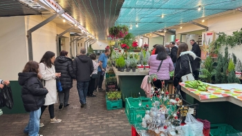 Mercado do Santo da Serra com procura (vídeo)