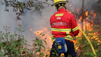 Mais de uma centena de queimadas não autorizadas nos últimos seis meses (áudio)