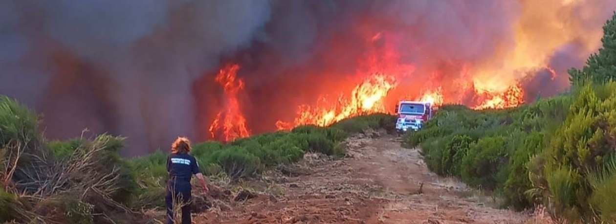 Risco de incêndio rural aumenta a partir de domingo