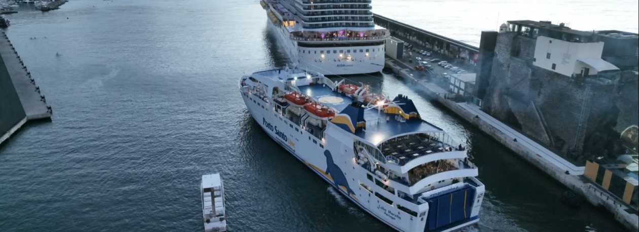 Imagem de Lobo Marinho ausente cinco semanas a partir de 5 janeiro