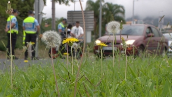 Imagem de PSP deteve 29 pessoas na operação de fim de ano (vídeo)